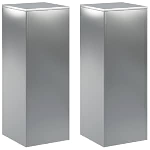 vidaXL Taimede alus 2 pcs H&otilde;bedane 30 x 30 x 80 cm Roostevaba teras