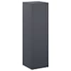 vidaXL Taimede alus Antratsiit 30 x 30 x 100 cm Roostevaba teras