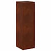 vidaXL Taimede alus Rooste 30 x 30 x 100 cm Ilmastikukindel teras