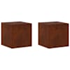 vidaXL Taimede alus 2 pcs Rooste 40 x 40 x 40 cm Ilmastikukindel teras