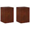 vidaXL Taimede alus 2 pcs Rooste 40 x 40 x 60 cm Ilmastikukindel teras
