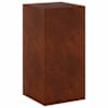 vidaXL Taimede alus Rooste 40 x 40 x 80 cm Ilmastikukindel teras