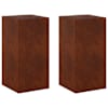 vidaXL Taimede alus 2 pcs Rooste 40 x 40 x 80 cm Ilmastikukindel teras
