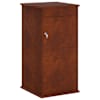vidaXL postkast Rooste 50 x 52 x 100 cm Ilmastikukindel teras