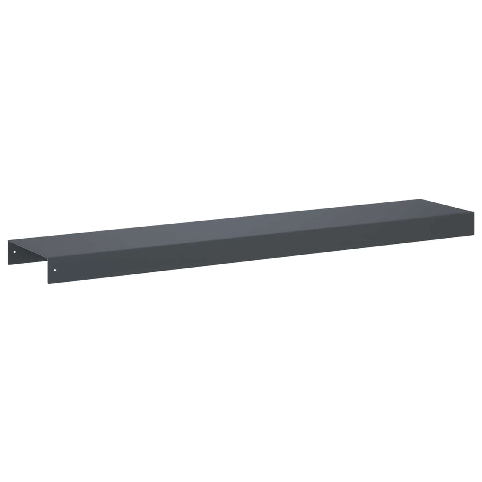 Pokrivni profil za vrtno obrobo 2 kos 100 x 20 x 5 cm Jeklo