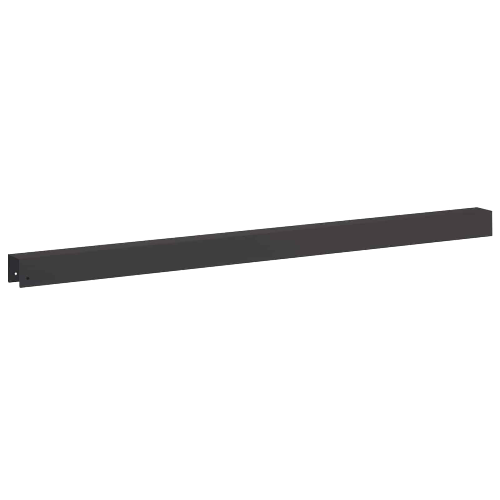 Pokrivni profil za vrtno obrobo 2 kos 100 x 5 x 5 cm Jeklo Črna