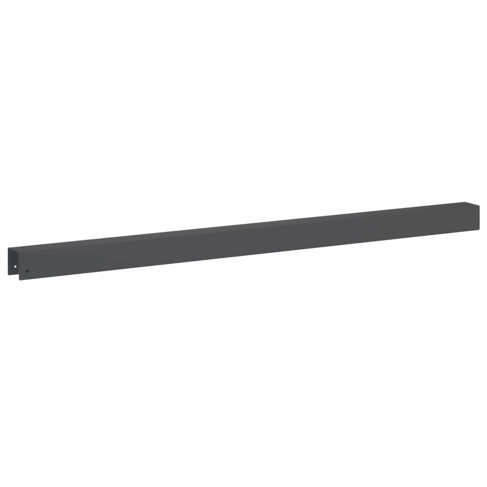 Pokrivni profil za vrtno obrobo 2 kos 100 x 5 x 5 cm Jeklo