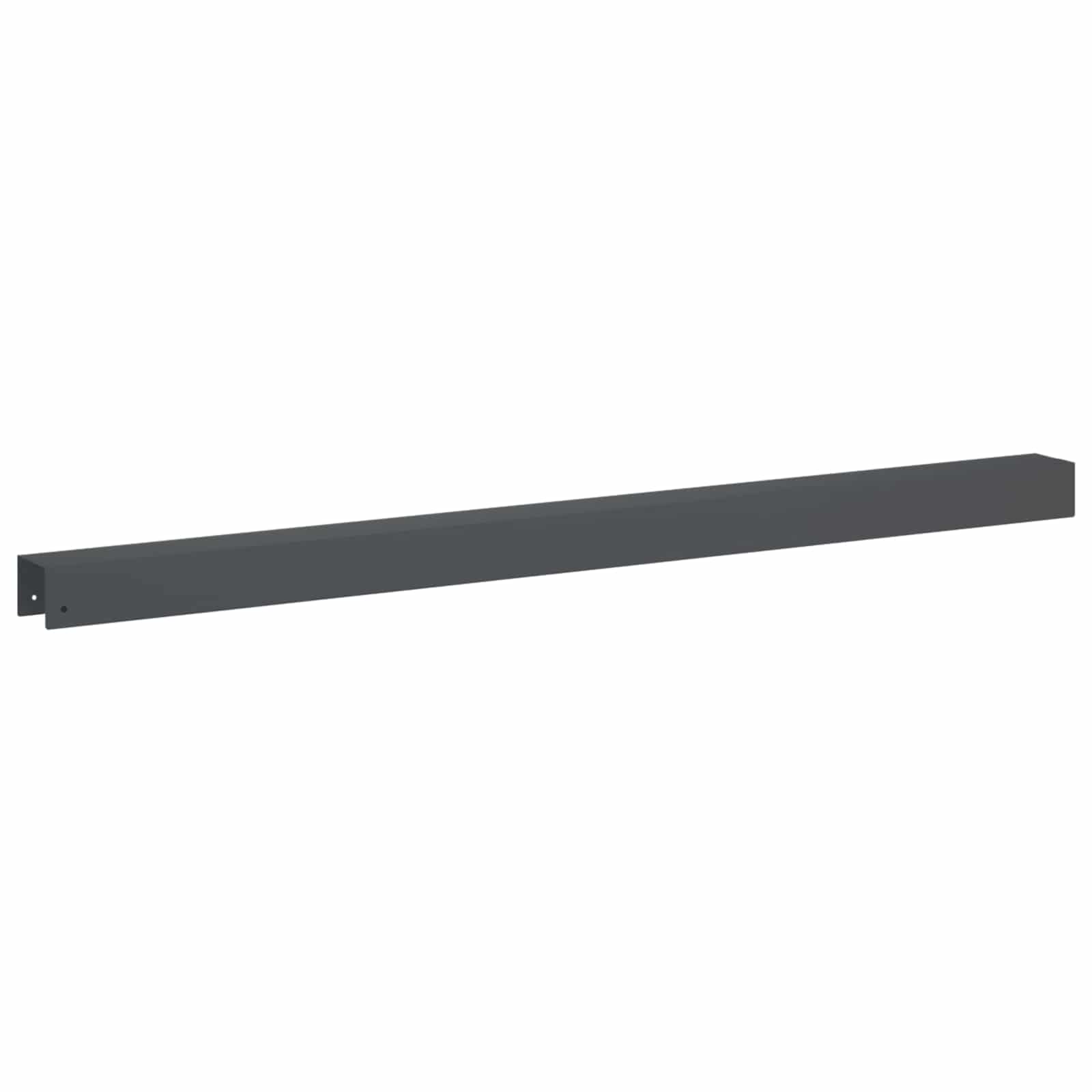 Pokrivni profil za vrtno obrobo 2 kos 100 x 6 x 5 cm Jeklo