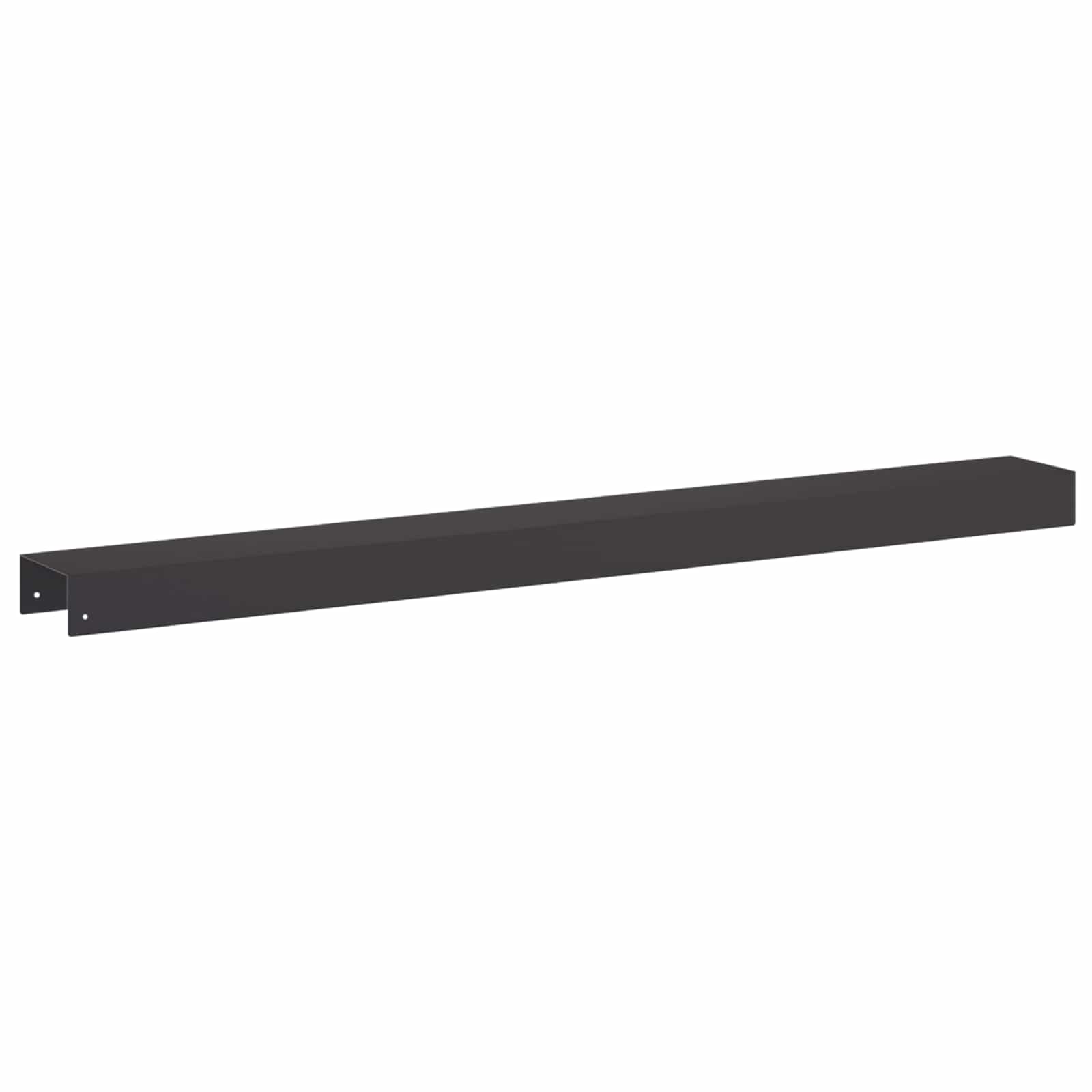 Pokrivni profil za vrtno obrobo 2 kos 100 x 10 x 5 cm Jeklo