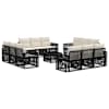 Black_and_cream_white
