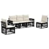 Black_and_cream_white