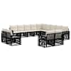 Black_and_cream_white