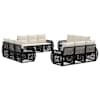 Black_and_cream_white