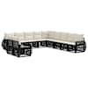 Black_and_cream_white