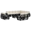 Black_and_cream_white