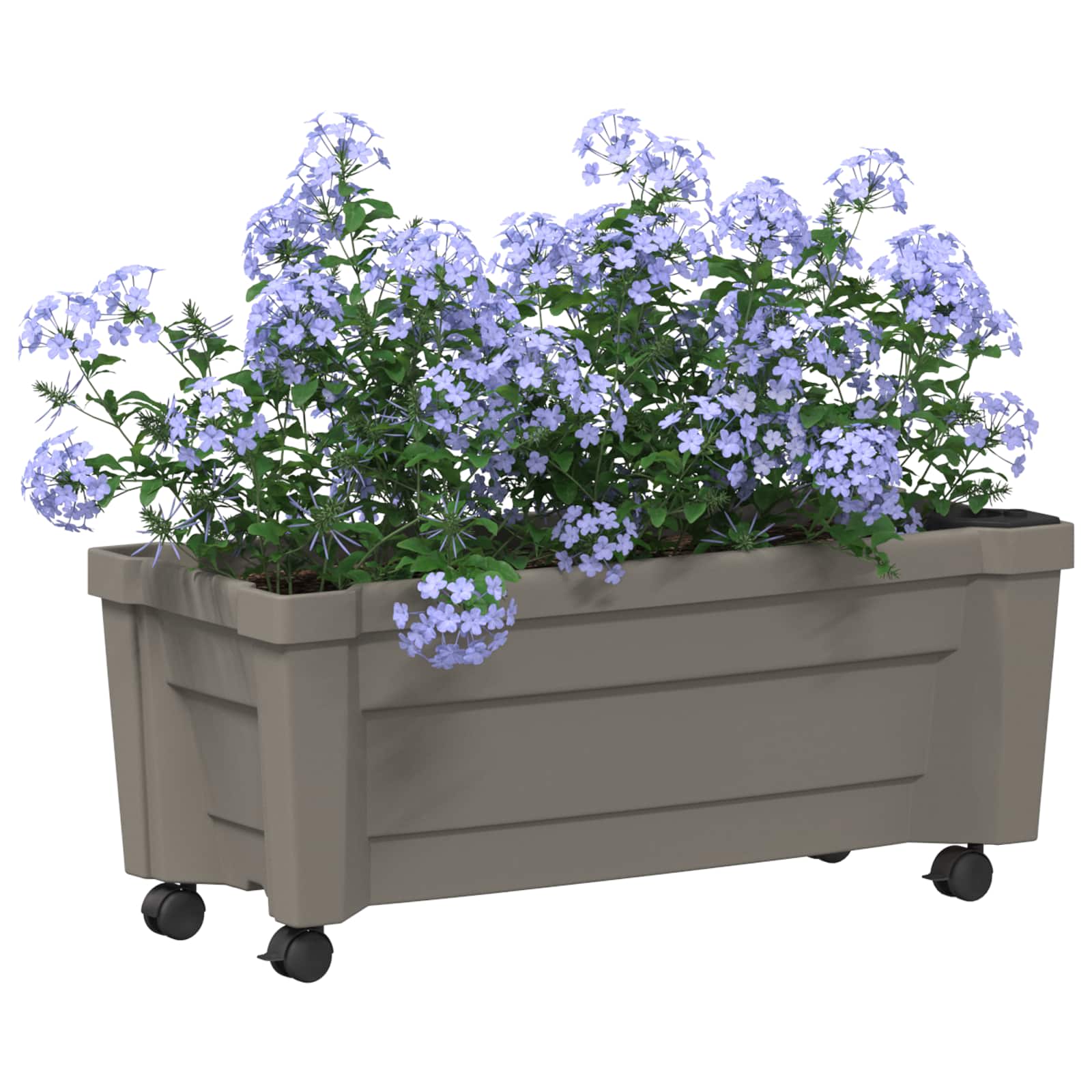 Calypso plantenbak met wielen Grijs 79 x 35 x 33 cm PP image 2