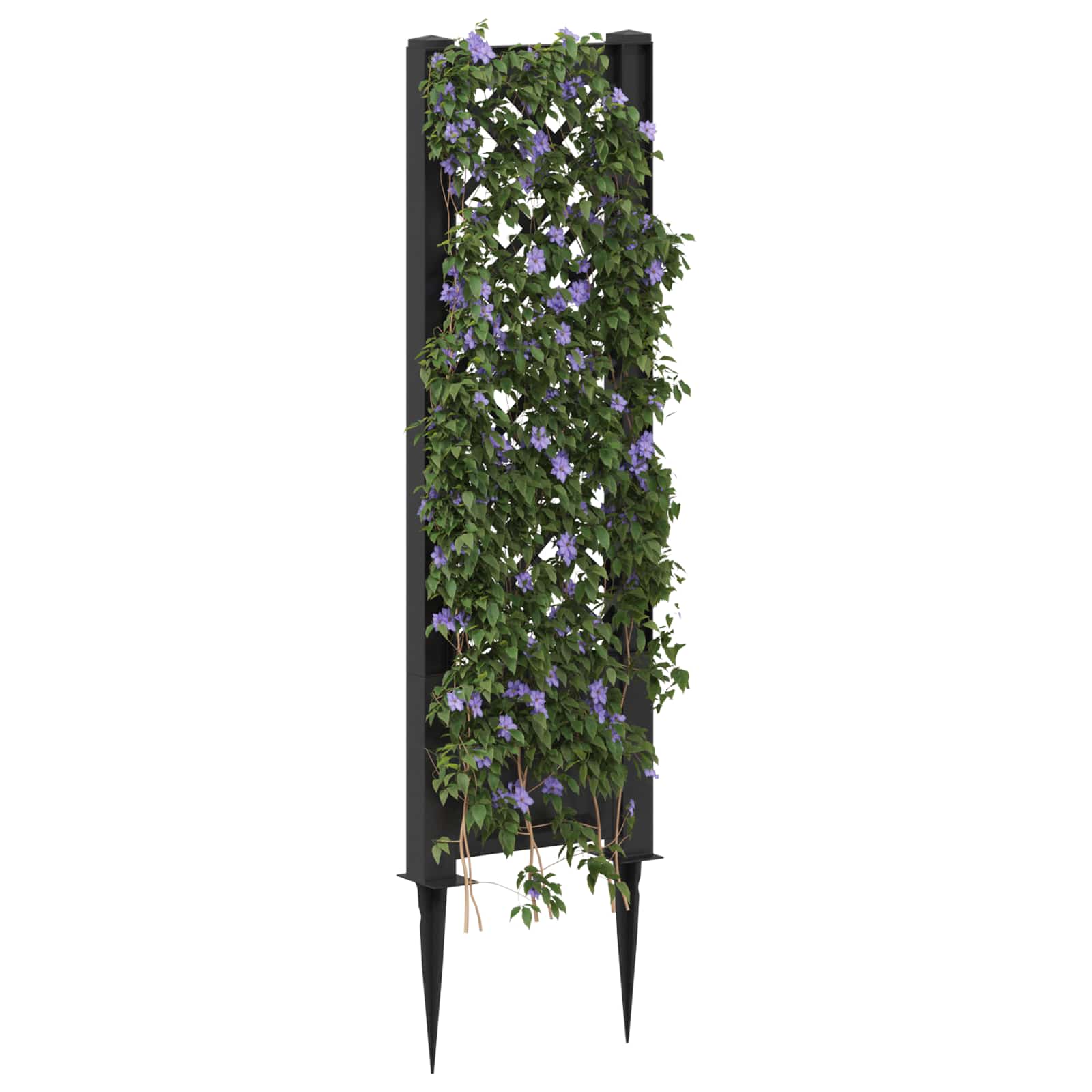 Trellis met Spike Antracietkleurig 43 x 6 x 165 cm PP image 3