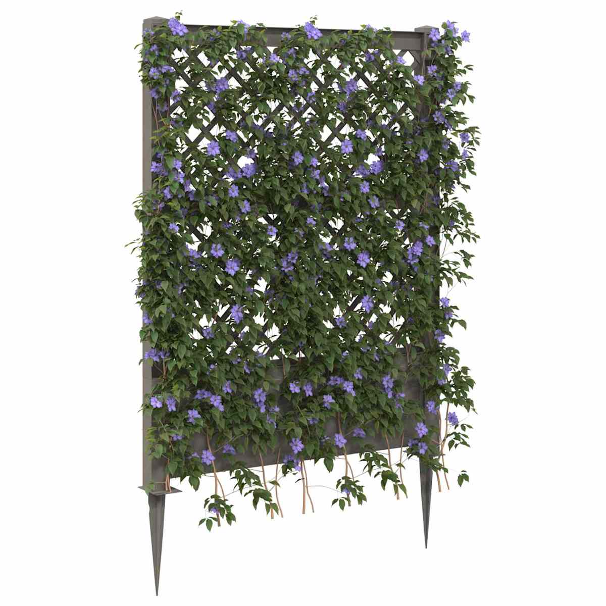 Trellis med Spids PP - Billede 3