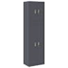 Anthracite