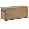 vidaXL Salvestuskarp Artisan tamm 80 x 40 x 49,5 cm Tehispuit