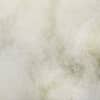 Toote pisipilt  10 / 11