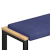 Police_blue