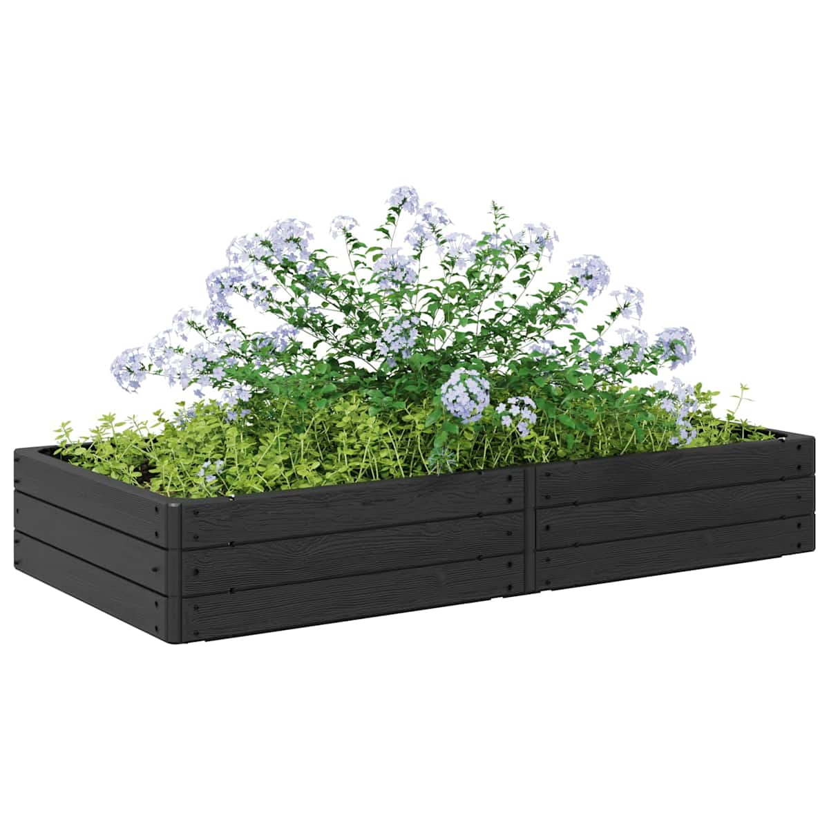 Hævet bed Sort 151 x 75,5 x 25 cm PP - Billede 3