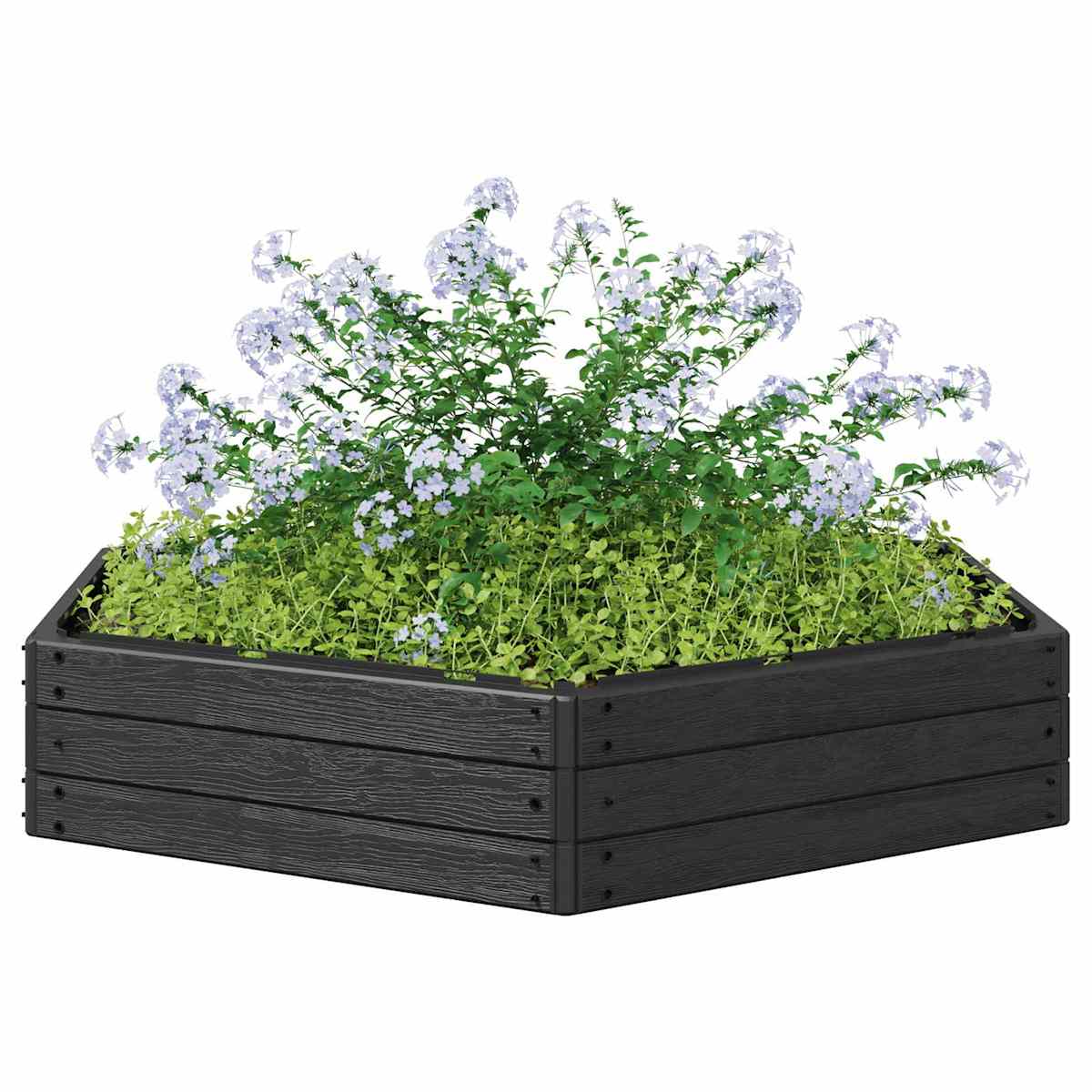 Hævet bed Sort 148 x 129 x 25 cm PP - Billede 3