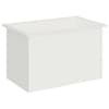 Toote pisipilt  4 / 13