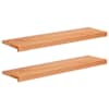 vidaXL Trepiastmed 2 tk 100 x 30 x 2 cm Lakk Tugev lepppuu