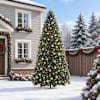Toote pisipilt  2 / 12