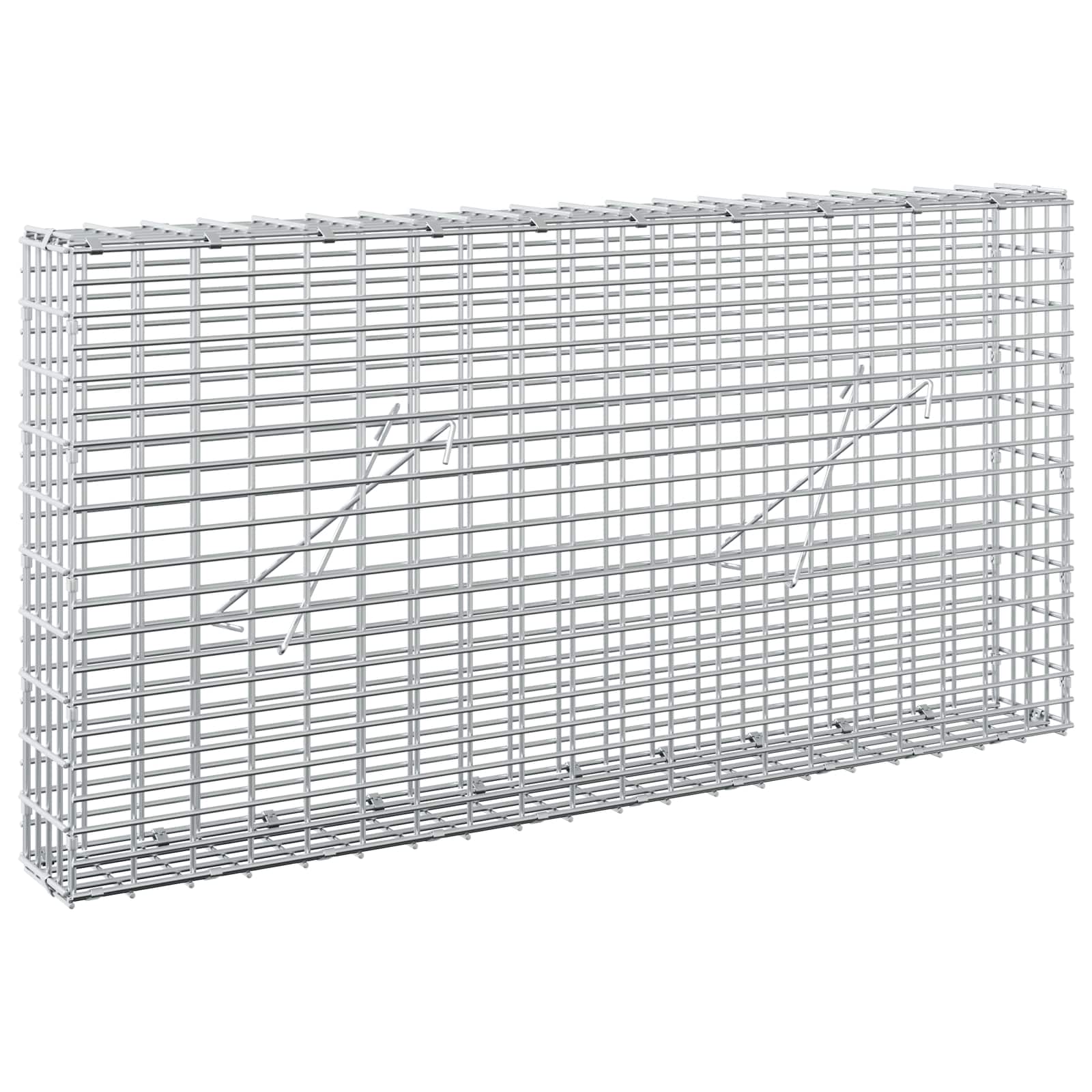 Gabion z žico 3,5 mm in mrežo 5x2,5 cm 100x10x50 cm