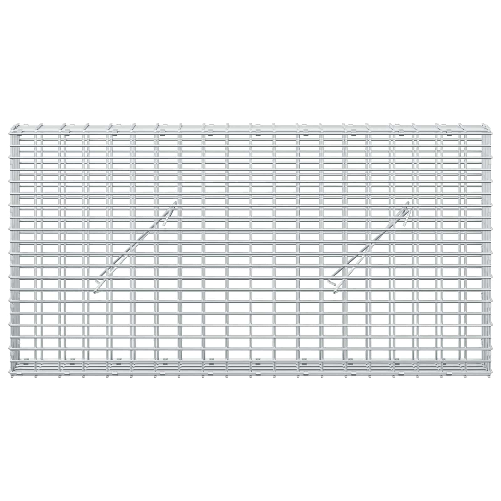 Gabion z žico 3,5 mm in mrežo 5x2,5 cm 100x10x50 cm