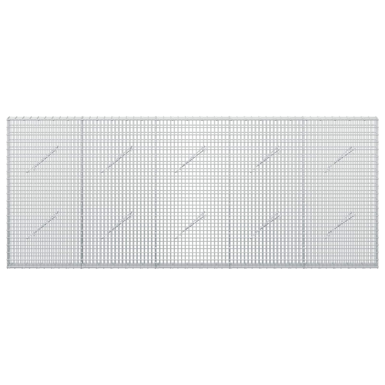 Gabion z žico 3,5 mm in mrežo 5x2,5 cm 250x10x100 cm