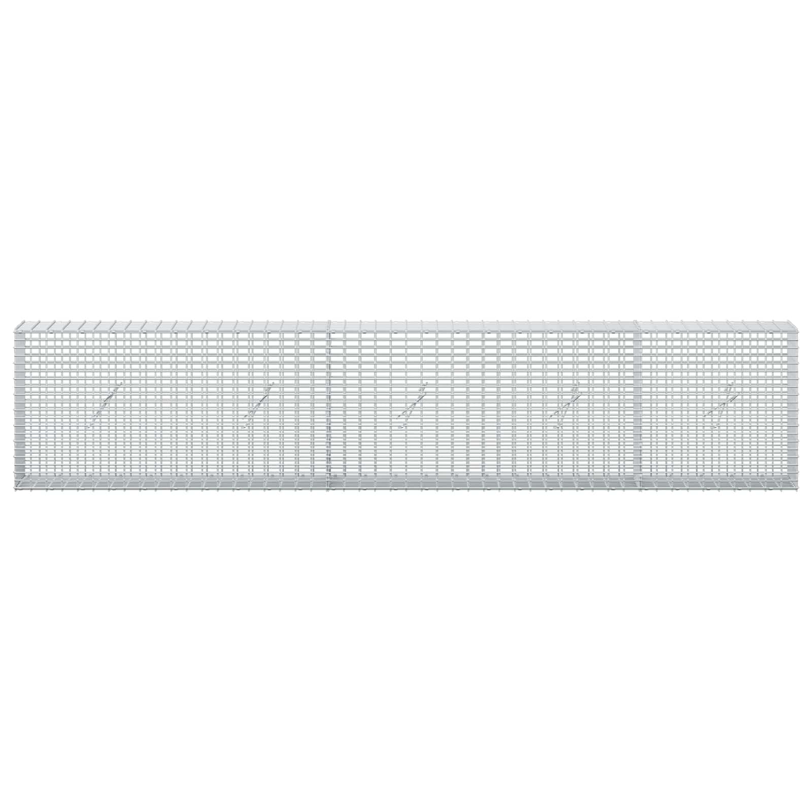 Gabion z žico 3,5 mm in mrežo 5x2,5 cm 250x20x50 cm