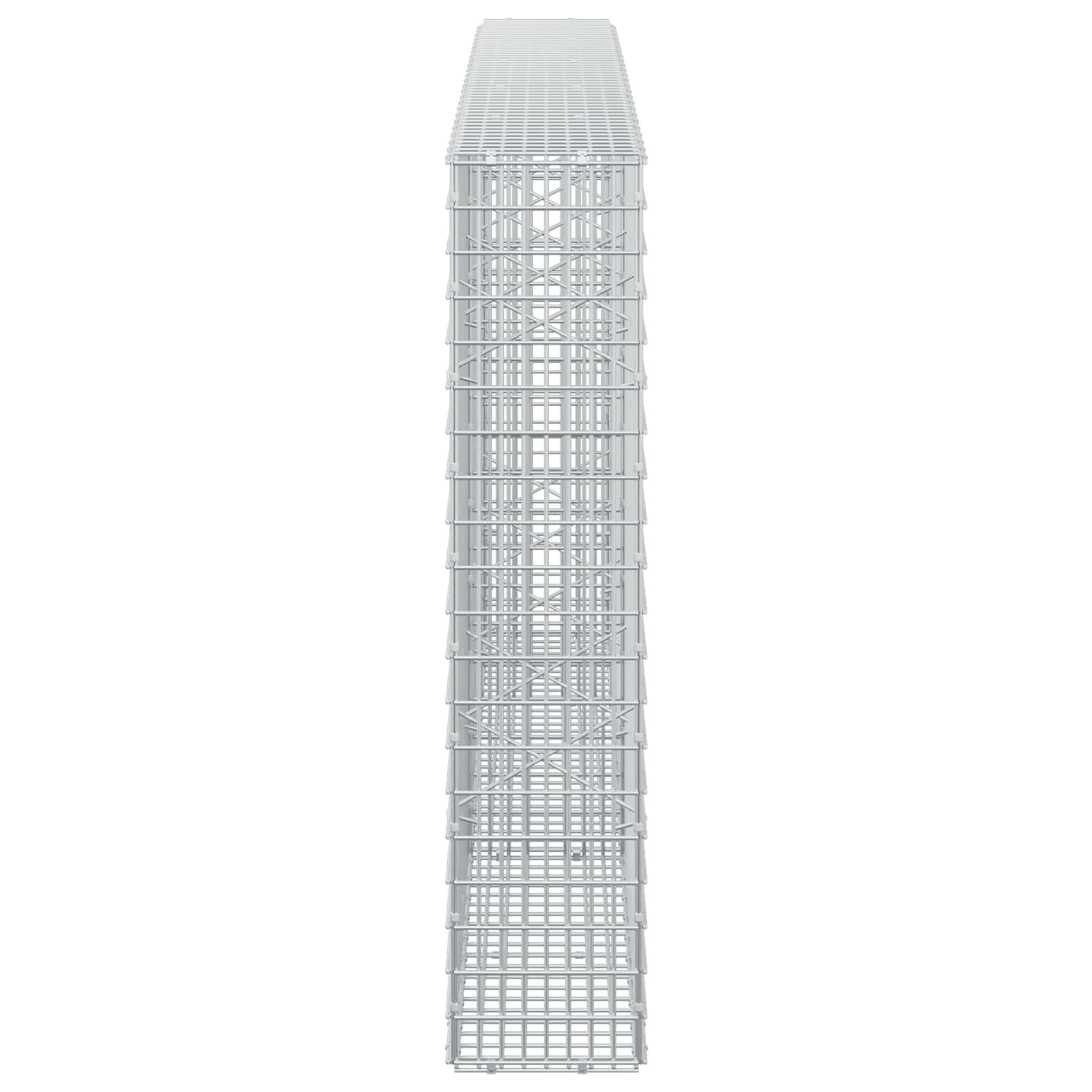 Gabion z žico 3,5 mm in mrežo 5x2,5 cm 250x20x100 cm