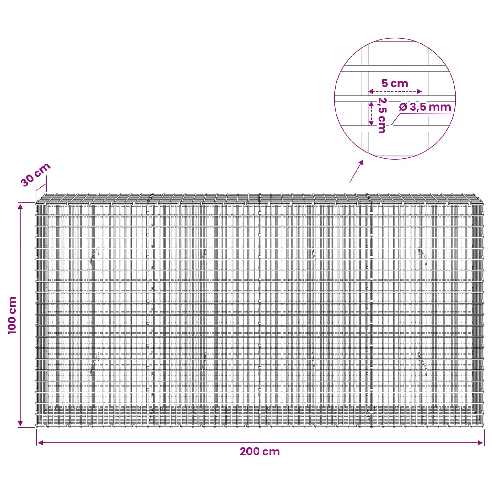 Gabion z žico 3,5 mm in mrežo 5x2,5 cm 200x30x100 cm