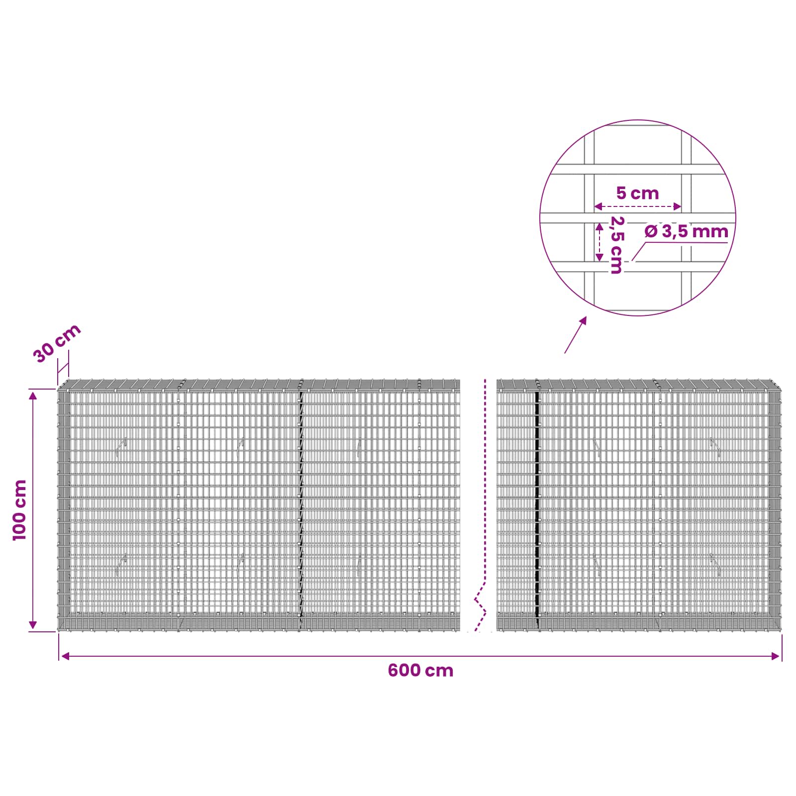 Gabion z žico 3,5 mm in mrežo 5x2,5 cm 600x30x100 cm
