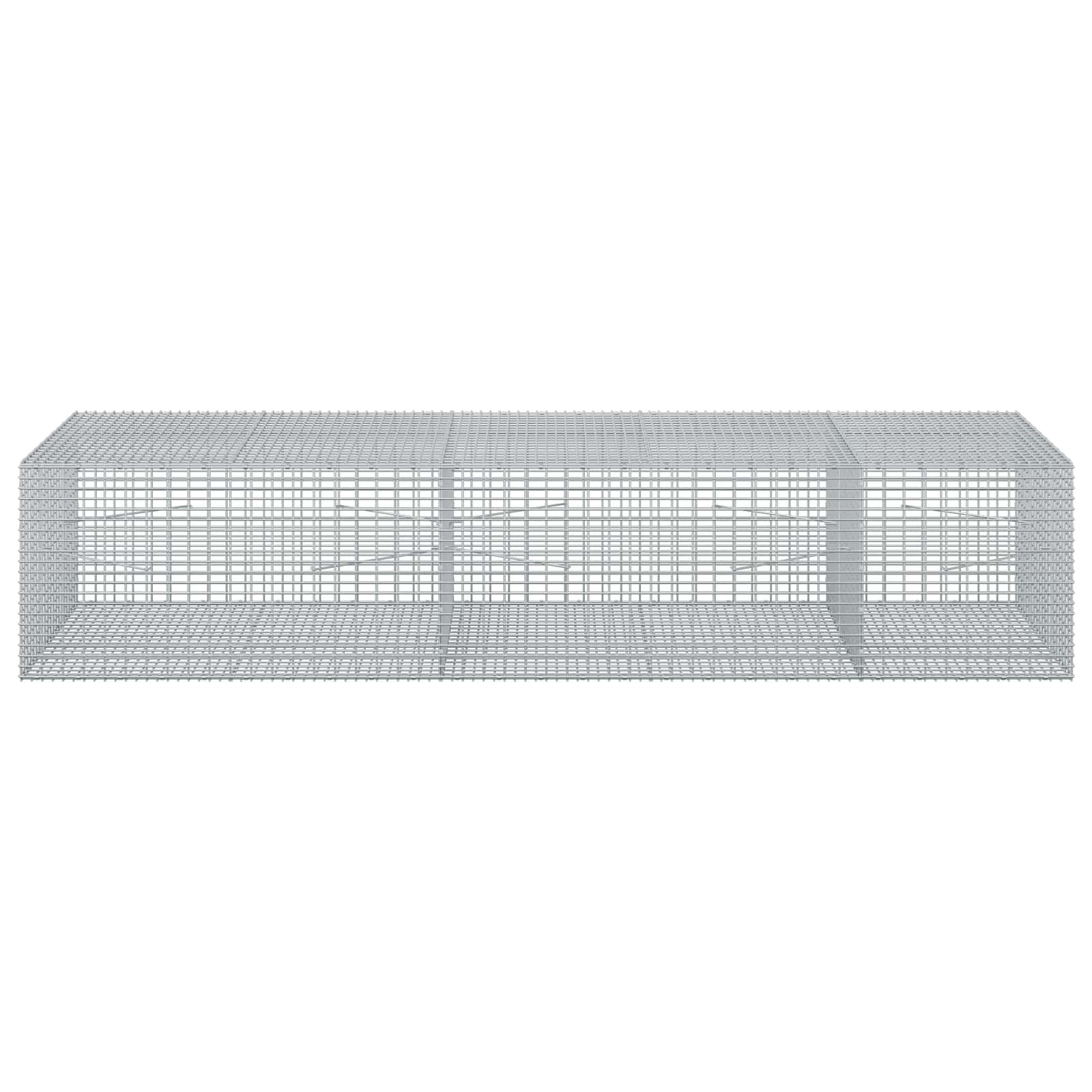 Gabion z žico 3,5 mm in mrežo 5x2,5 cm 250x100x50 cm