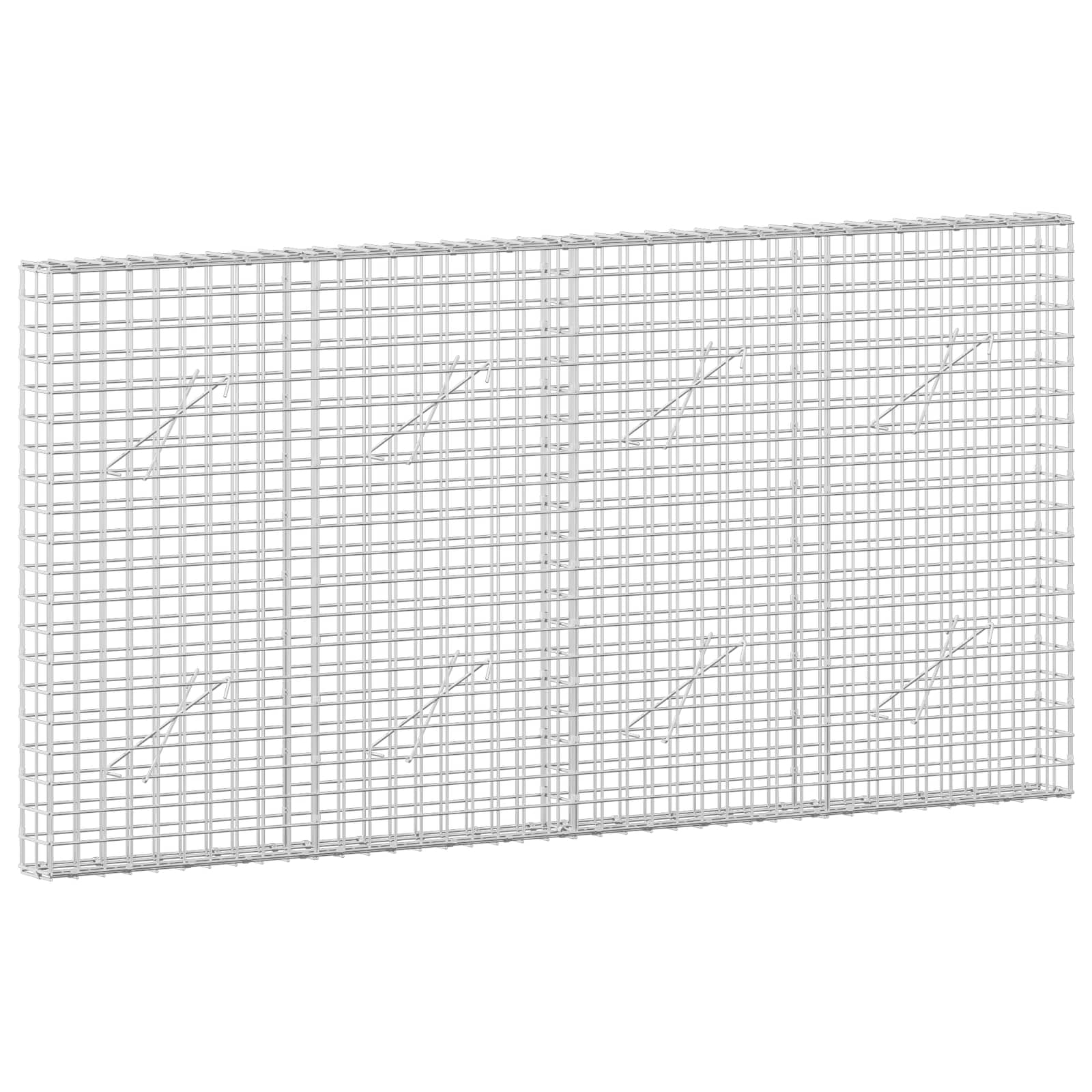 Gabion z žico 3,5 mm in mrežo 5x5 cm 200x10x100 cm