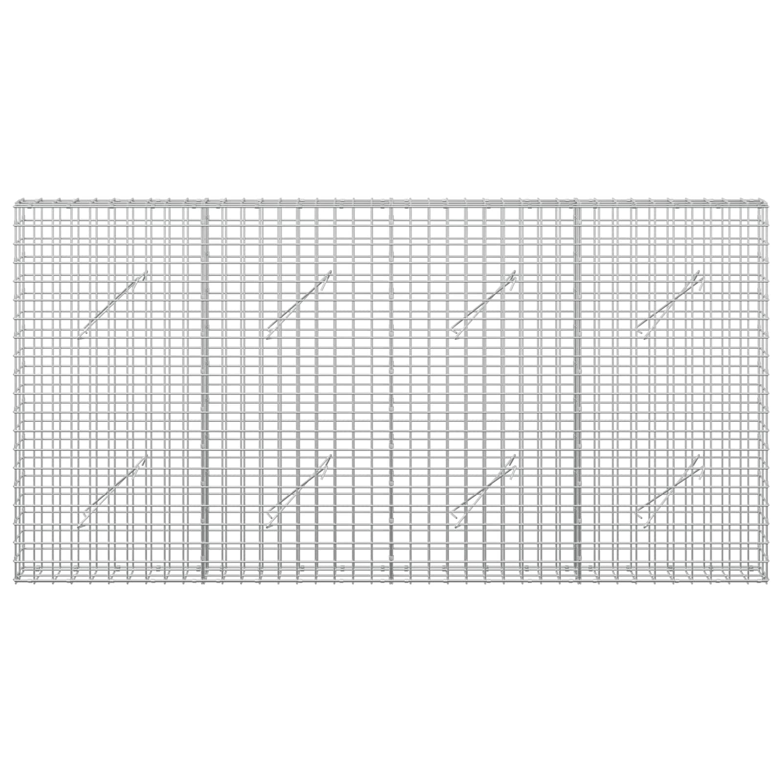 Gabion z žico 3,5 mm in mrežo 5x5 cm 200x10x100 cm