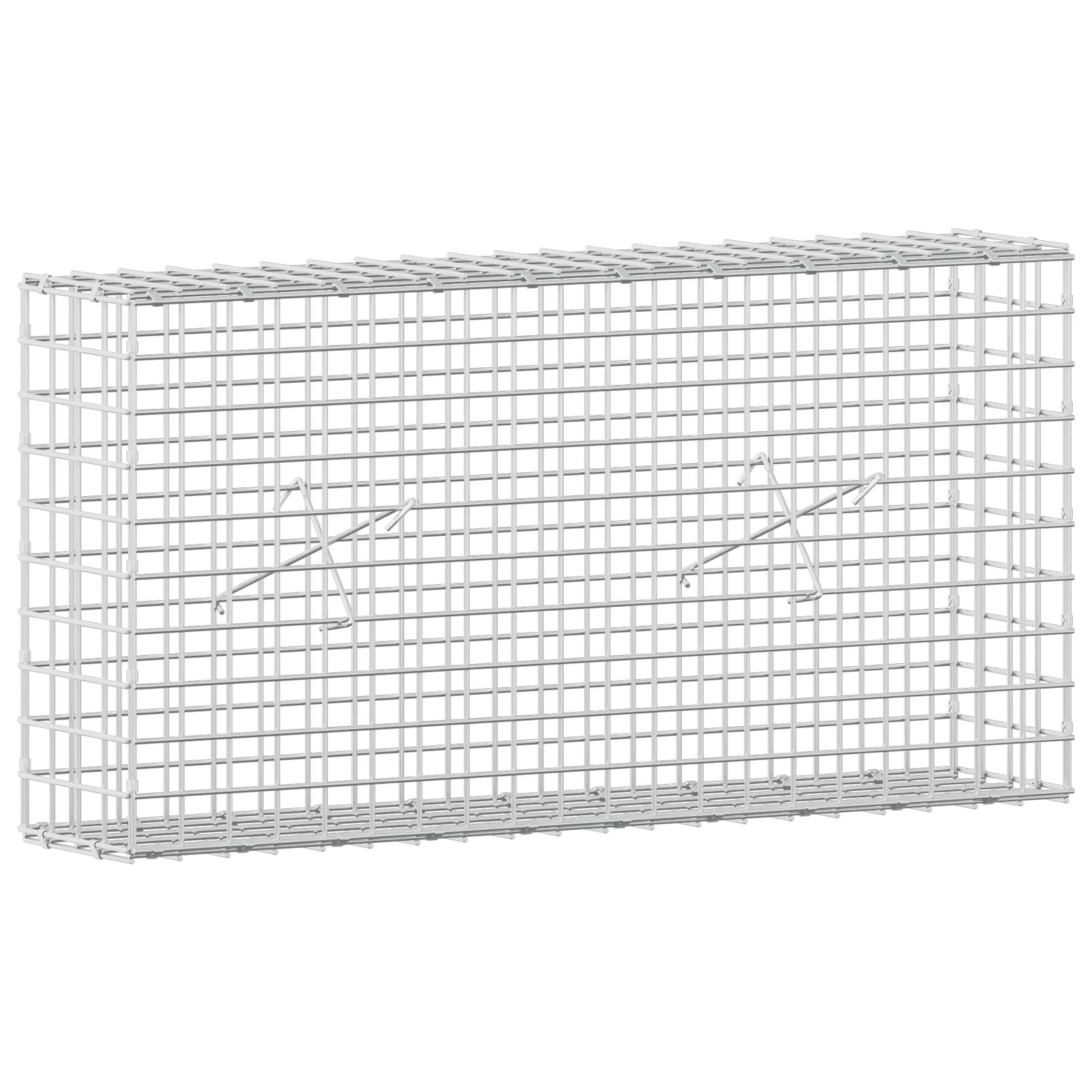 vidaXL Gabion s drátem 3,5 mm a síťkou 5x5 cm 100x20x50 cm
