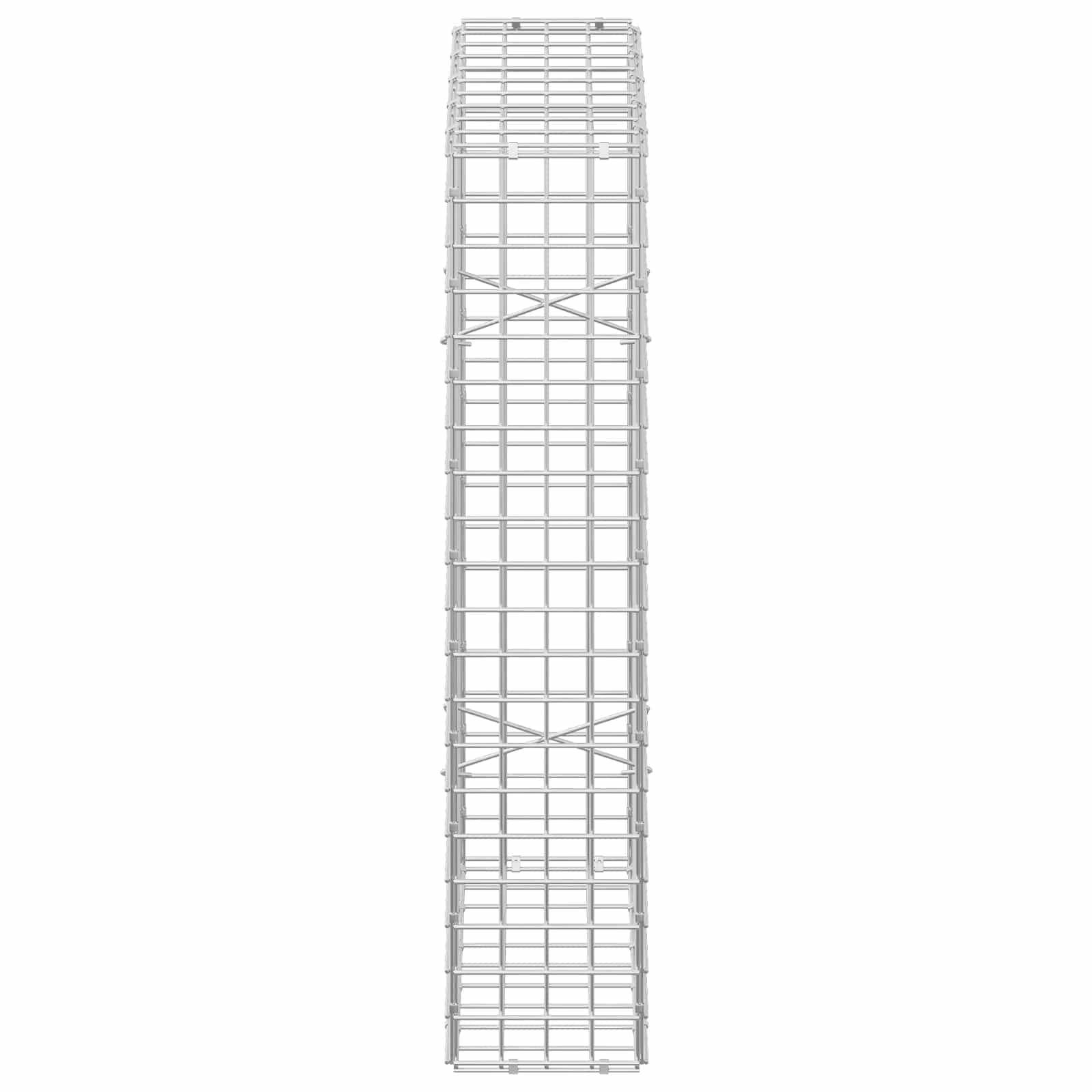 Γκαμπιόν με Σύρμα 3,5 mm και Πλέγμα 5x5 cm 50x20x100 εκ - Image 4