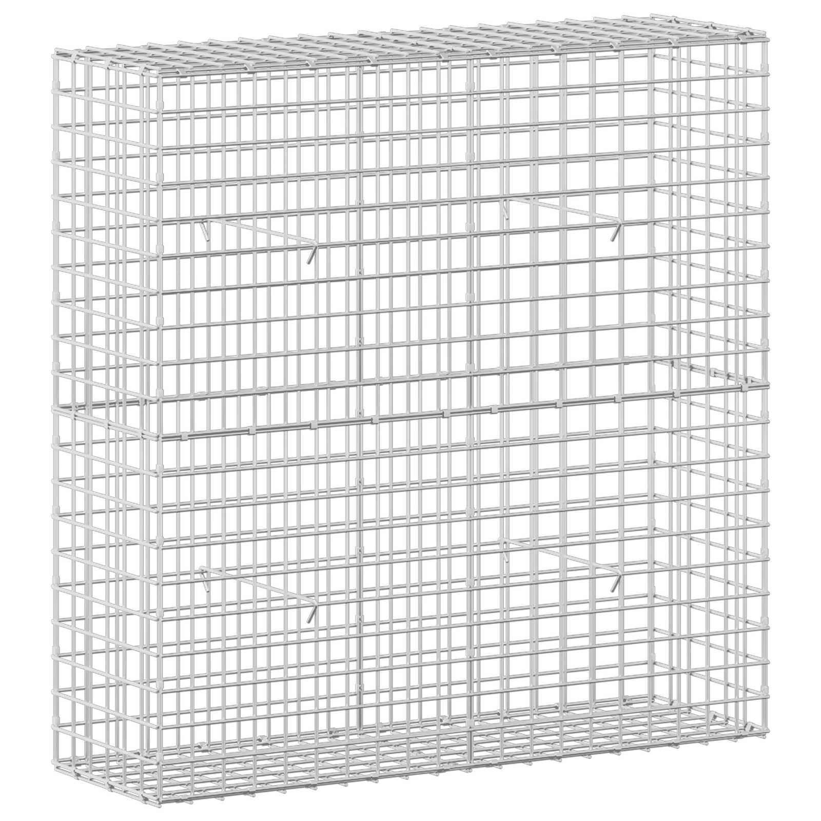 vidaXL Gabion s drátem 3,5 mm a síťkou 5x5 cm 100x30x100 cm