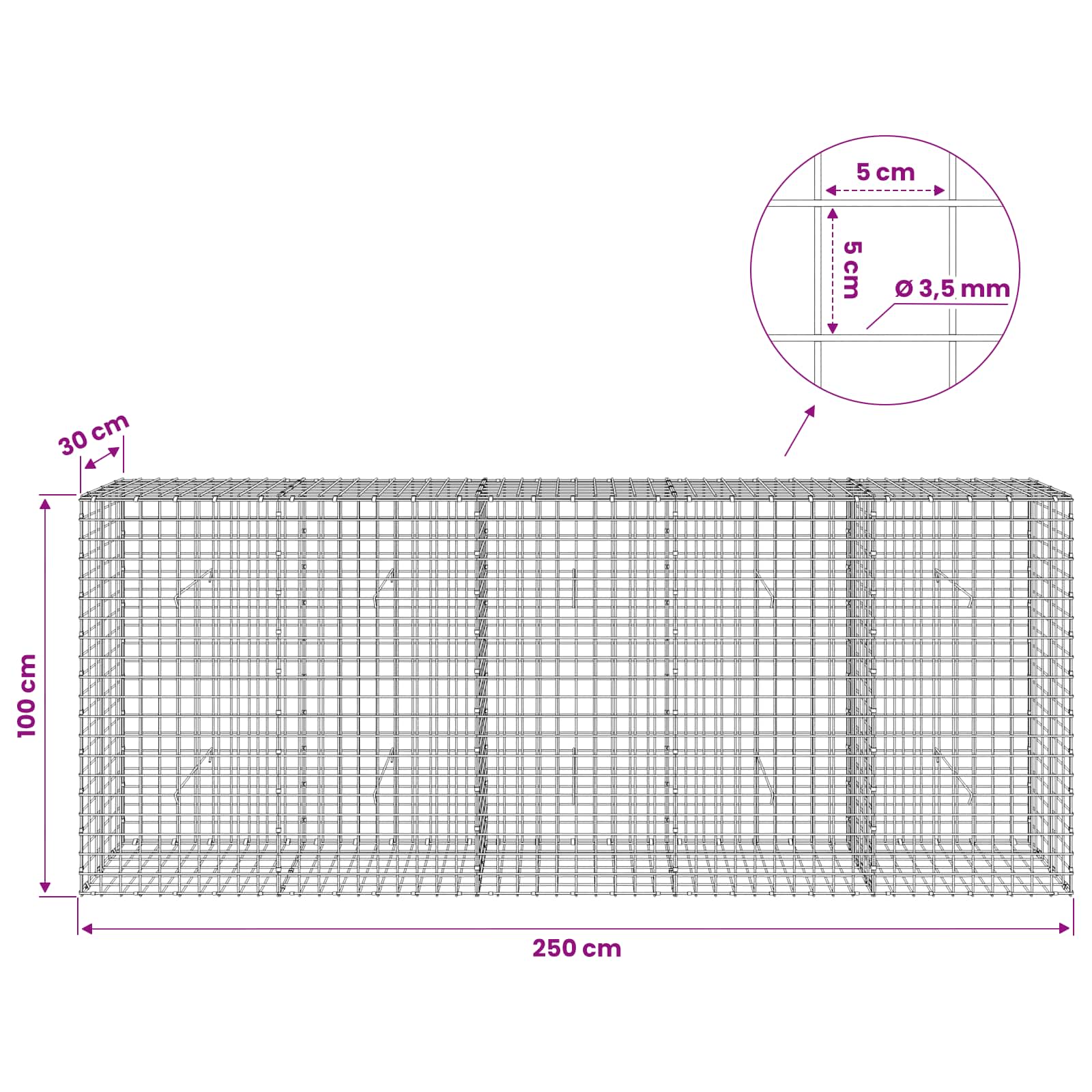 Gabion z žico 3,5 mm in mrežo 5x5 cm 250x30x100 cm