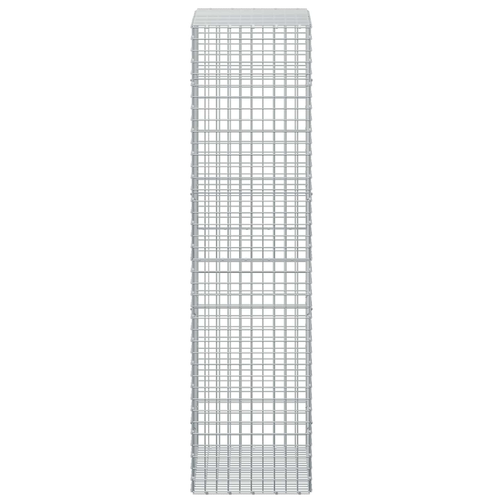 Gabion z žico 3,5 mm in mrežo 5x5 cm 100x50x200 cm