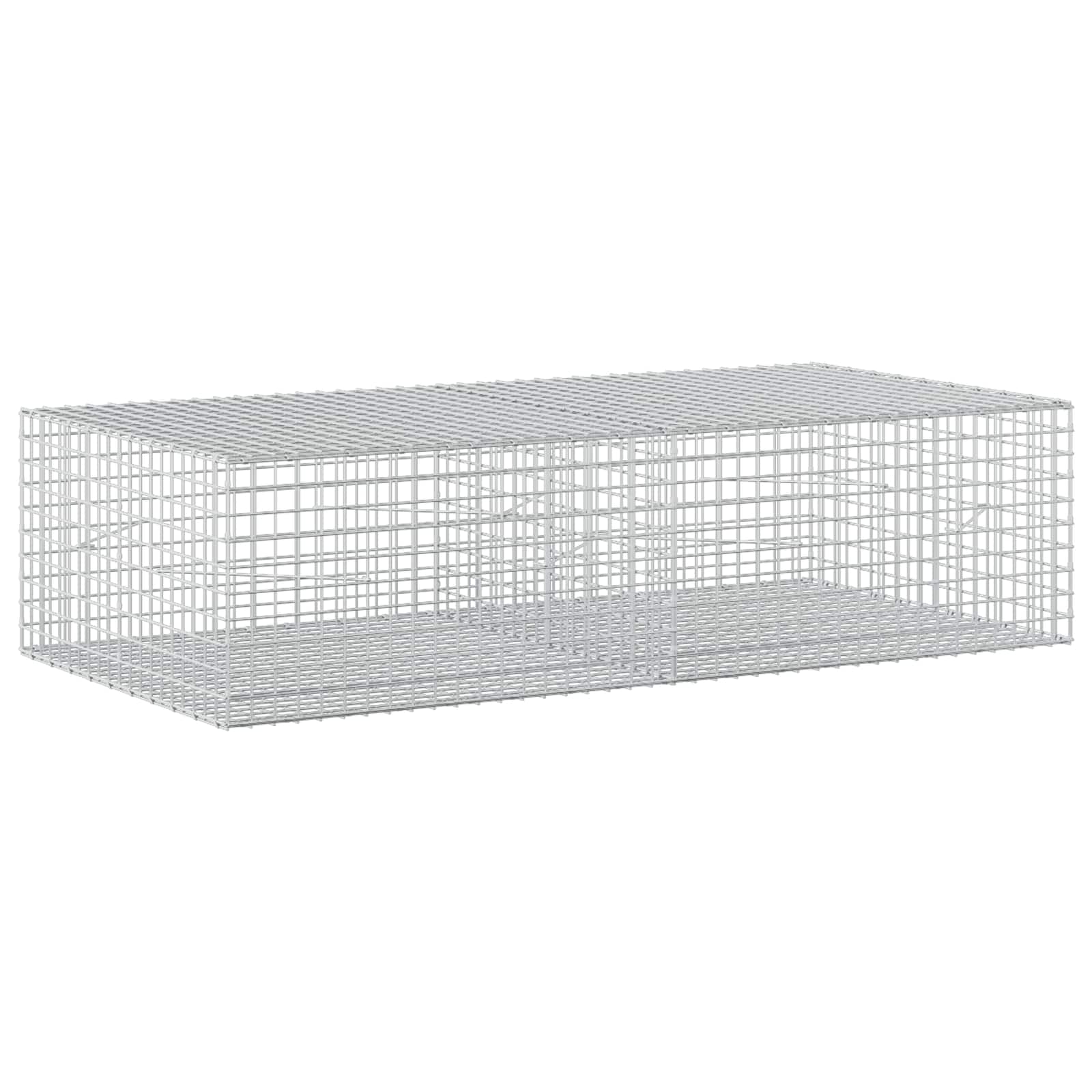 vidaXL Gabion s drátem 3,5 mm a síťkou 5x5 cm 200x100x50 cm