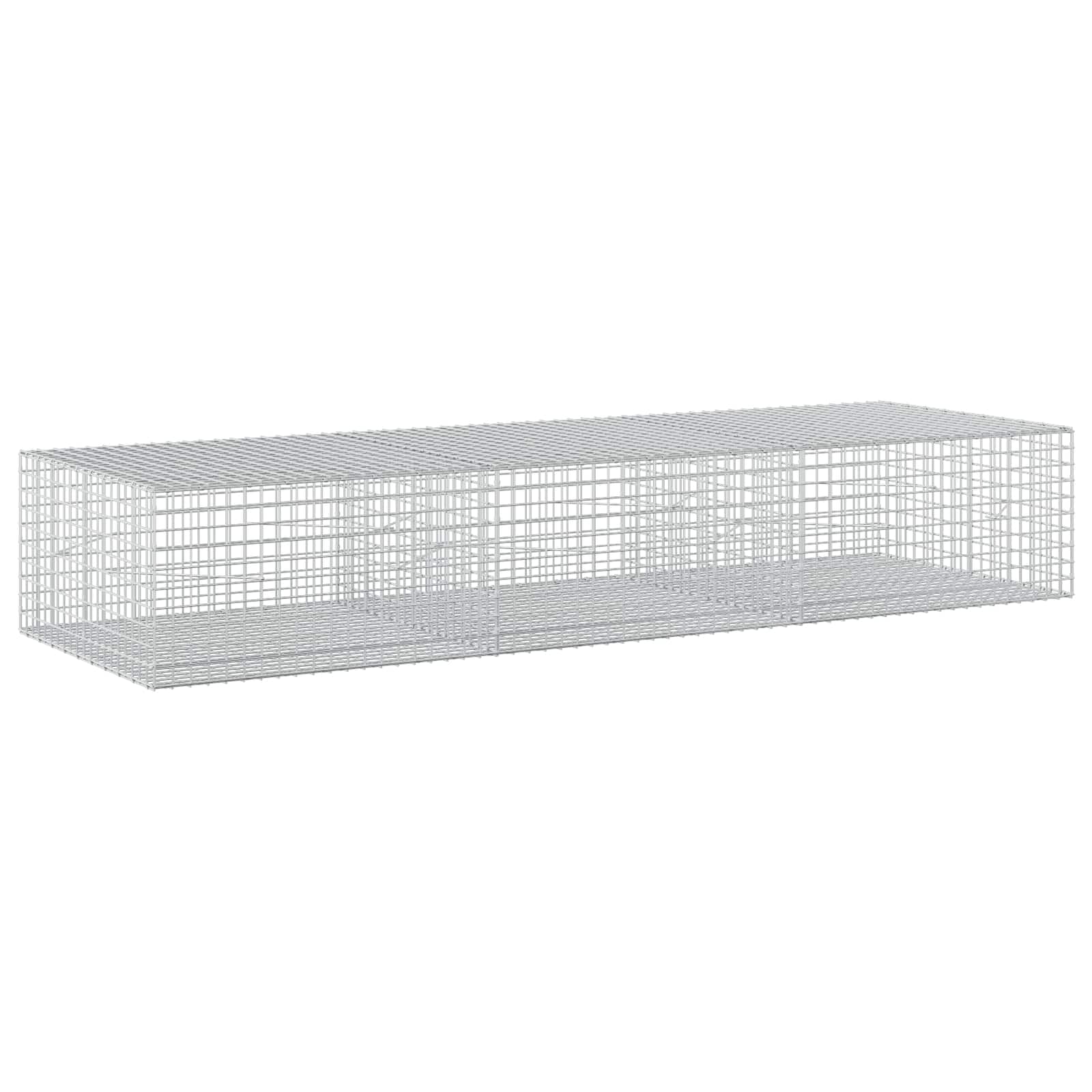Gabion z žico 3,5 mm in mrežo 5x5 cm 300x100x50 cm