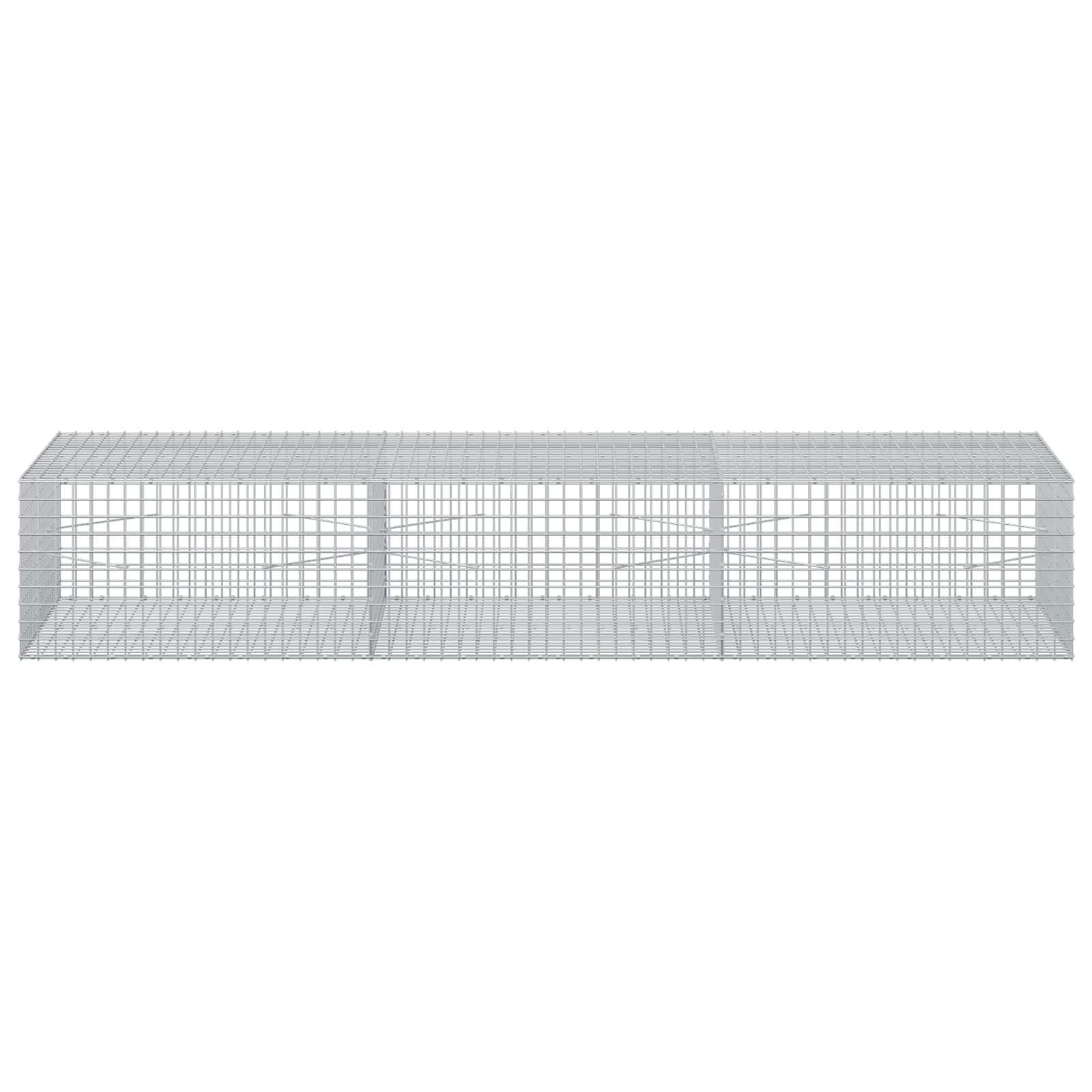 Gabion z žico 3,5 mm in mrežo 5x5 cm 300x100x50 cm