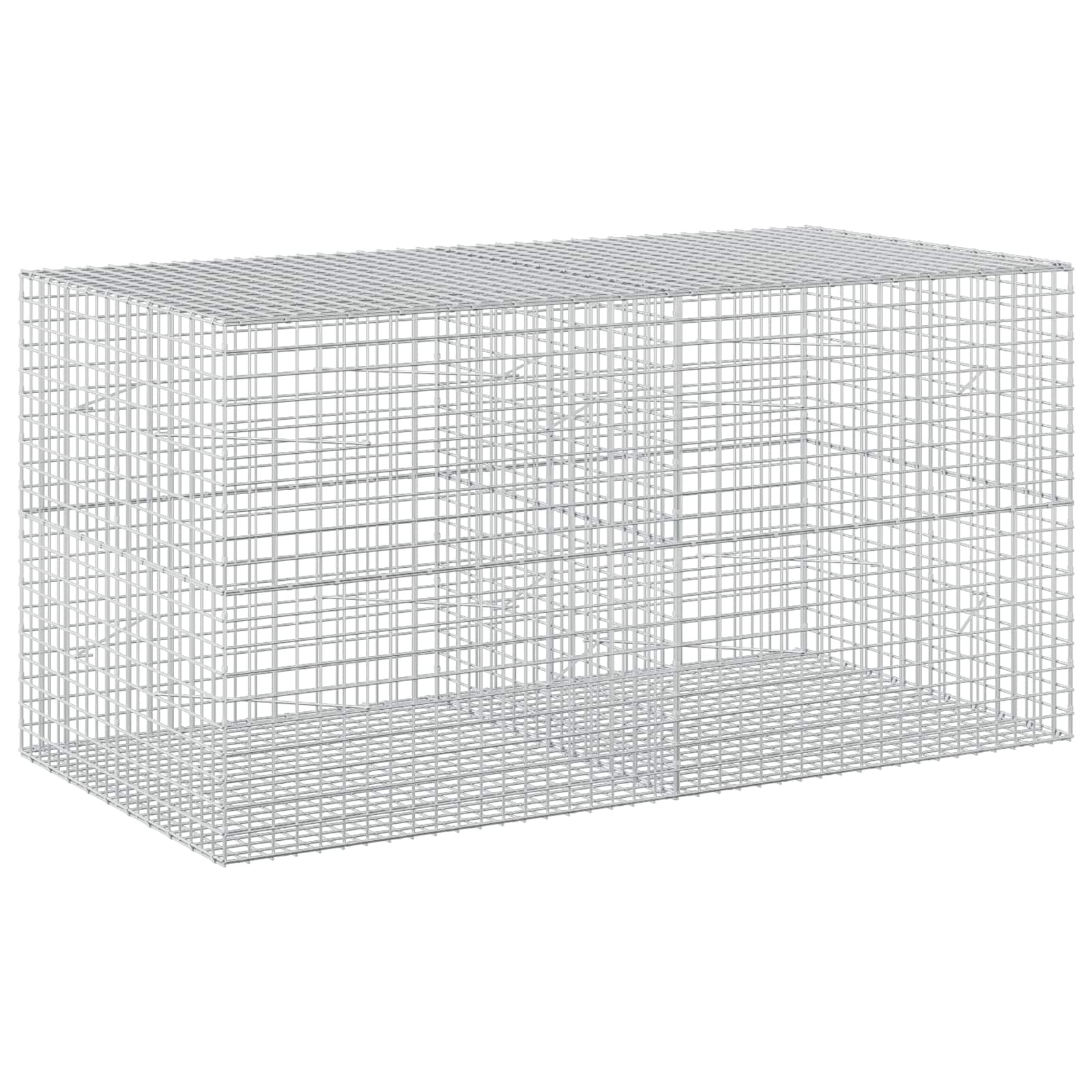 vidaXL Gabion s drátem 3,5 mm a síťkou 5x5 cm 200x100x100 cm